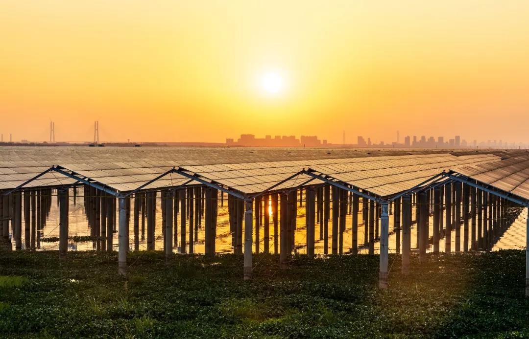 Beyond Success - www.js333.com Achieved a Preferred Scale of 1120 MW in Jiangxi